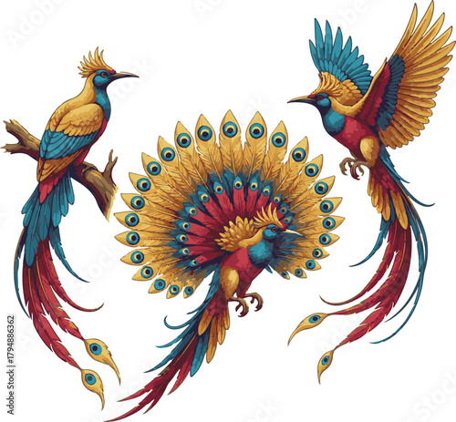 Vector Art of Three Cute Birds of Paradise – Ultra Detailed Colorful Adorable Tropical Bird Illustration on White Background