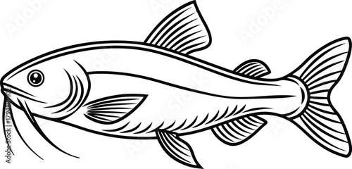 Helicopter Catfish Illustration. Flying Catfish Artwork. Catfish Outline Drawing. Helicopter Fish Graphic. Exotic Catfish Illustration Set. Aquatic Helicopter Catfish Art. Fish Species Line Art