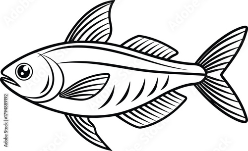 Helicopter Catfish Illustration. Flying Catfish Artwork. Catfish Outline Drawing. Helicopter Fish Graphic. Exotic Catfish Illustration Set. Aquatic Helicopter Catfish Art. Fish Species Line Art