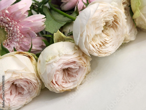 Roses on a white background. A bouquet of roses on a white table