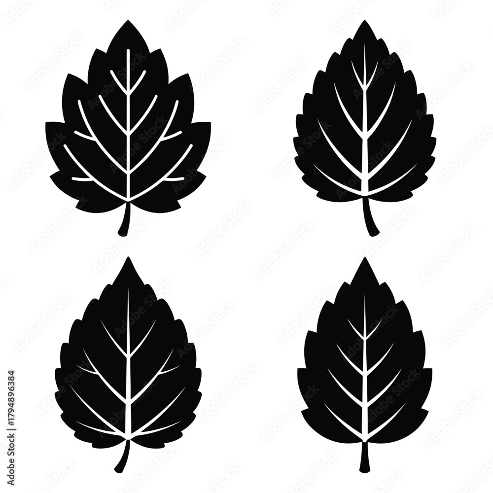 Obraz premium frost leaf silhouette clipart set