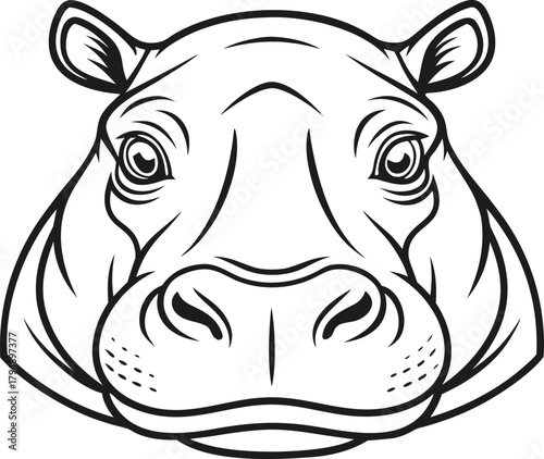 Hippopotamus Illustration Set. Hippo Animal Artwork. Hippopotamus Outline Drawing. Wild Hippo Graphic Collection. Hippo Line Art Illustration. Hippopotamus Character Design. Hippo Wildlife Artwork