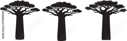 Three distinct silhouette trees with textured trunks and full canopies isolated on transparent background