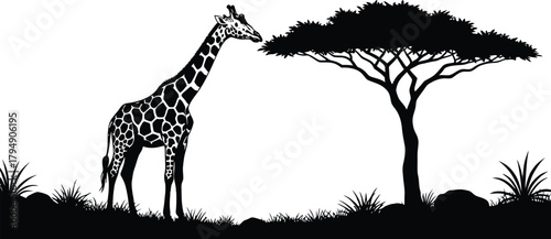Giraffe Silhouette in African Landscape with Tree and Grass