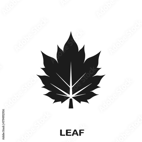 Black leaf symbol on white background, showing silhouette leaf shape. Flat leaf art shows nature concept. Use leaf as logo, icon, print, design element, or natural symbol.