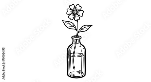 Delicate monochrome flower in a simplistic glass vase drawing for botanical decor projects
