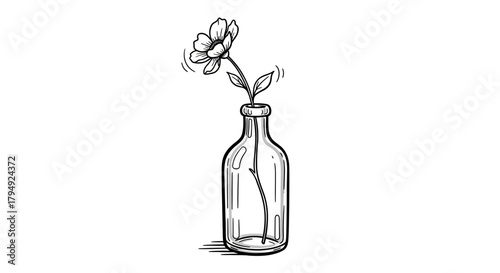 Delicate floral sketch: A single bloom in a clear bottle, line art drawing evoking simplicity and