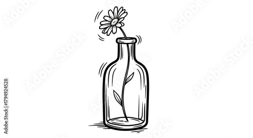 Sketch of a Single Daisy in a Glass Bottle, Simple Floral Still Life, Hand Drawn Illustration style