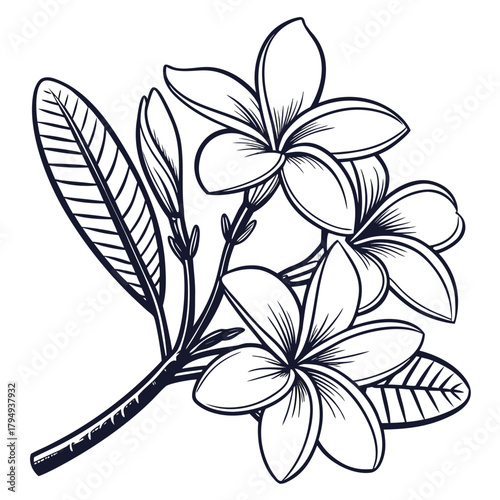 Bold Frangipani Branch with Red Leaves