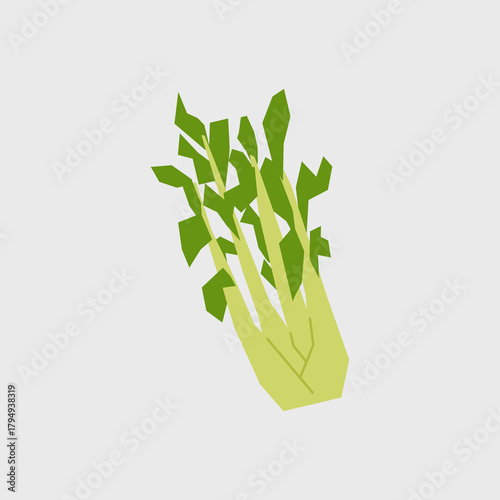 Fresh celery illustration. Simple icon of organic vegetable for farmers market advertising. Vector symbol of harvested salad vegetables in minimal hand drawn and flat style.