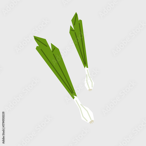 Fresh spring onion illustration. Simple icon of vegetable for farmers market advertising. Vector symbol of harvested salad vegetables in minimal flat style.