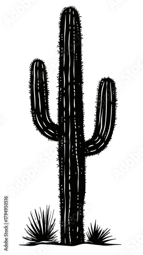 Black silhouette saguaro cactus vector illustration with desert plants isolated on white background flat minimalist design