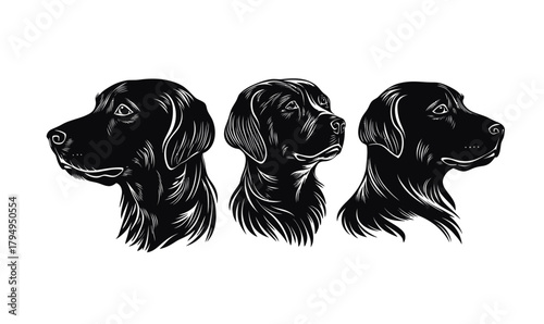 Black Labrador Retriever dog head portraits set in detailed monochrome vector illustration featuring side and three-quarter views with expressive eyes and fur texture on white background
