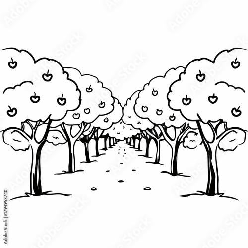 Black and white illustration of an orchard with rows of apple trees and a path Keywords: orchard, apple trees, fruit trees, garden, nature, outdoors, path, walkway, lane, symmetrical, perspective