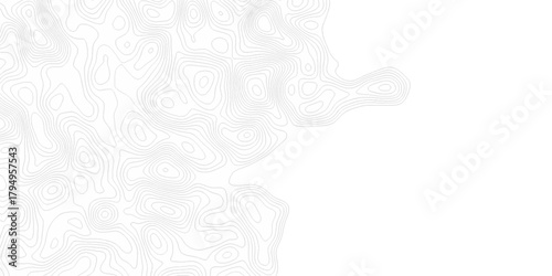 Abstract The pattern discovery vector topo diagram map. creative discovery White wave grid stripe line map topography. vector geographic contour mounted map background.	