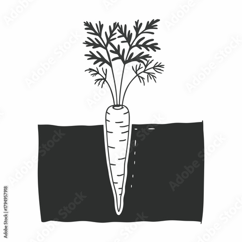 A single carrot with green leaves growing in the soil in black and white line art Keywords: carrot, vegetable, root vegetable, growing, garden, farming, agriculture, organic, healthy food, fresh