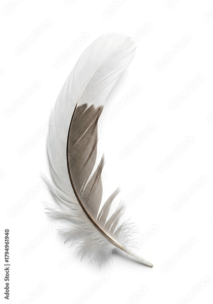 Obraz premium christmas single feather on white background, christmas soft natural ornament, holiday minimal elegant decor 