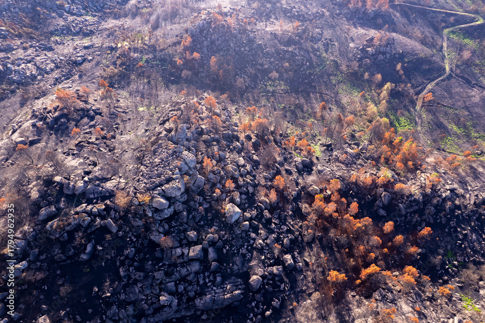 Fototapeta premium An aerial view of a rocky landscape scarred by wildfire, Nature's Resilience