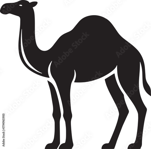 A simple black silhouette of a dromedary camel standing in profile view