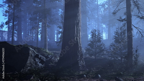 Fotografi In a tranquil forest setting, towering trees rise against a backdrop of mist