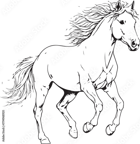 Black horse silhouette vector illustration running in nature