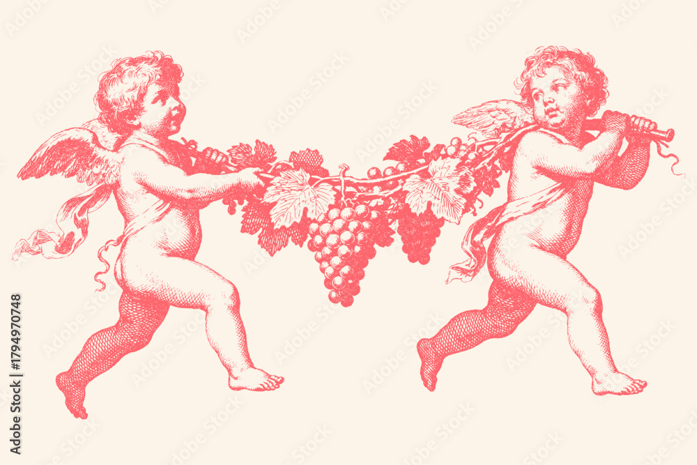 Obraz premium Two vintage cupids or angels carry a large grapevine. Classic hand-drawn illustration in an antique engraving style, isolated vector for romantic design.