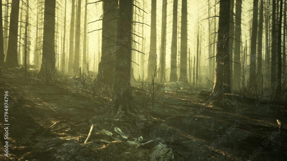 Obraz premium Silhouetted trees tower over a fog laden forest floor, creating an eerie ambiance. Dim light filters through branches as shadows dance, hinting at hidden mysteries waiting to be revealed.