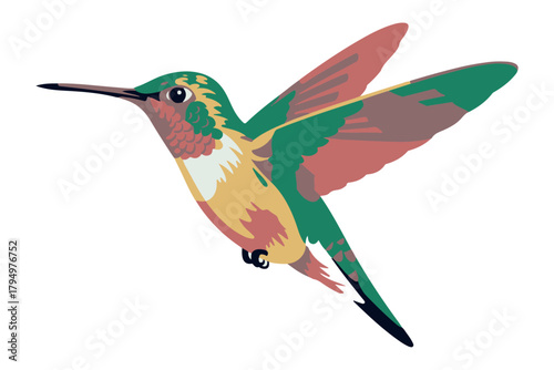 Vibrant illustration of a hummingbird in flight, showcasing its colorful plumage and delicate wings against a clean white background, perfect for nature and wildlife themes