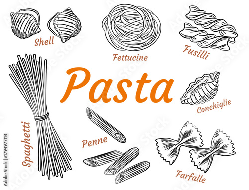 Hand drawn Italian pasta set. Collection of different types of pasta. Retro line art vector illustration. Gluten Food from wheat, flour.