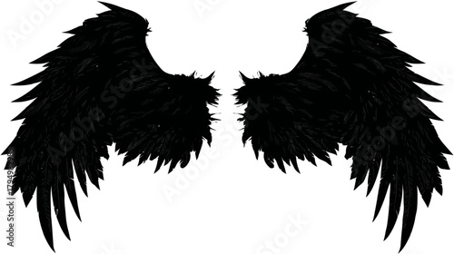Detailed pair of black feathered wings, isolated design element for fantasy, gothic, or Halloween themes. Dark, dramatic aesthetic.