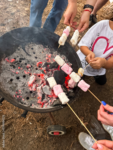 group roasting marshmallows over glowing charcoal, hands of adults and children holding skewers toward ember