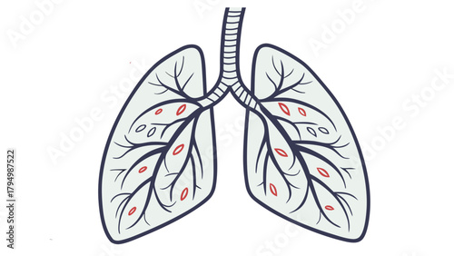 Detailed lung illustration, anatomical diagram for medical study with veins and arteries, health and respiratory system
