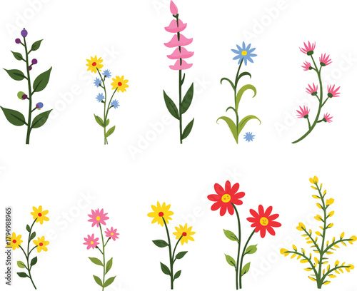 Delicate floral illustration with colorful wildflowers and leafy stems isolated design