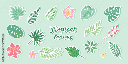 Collection of tropical leaves and flowers in various green and pink hues