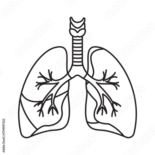 Lung Health Anatomy Icon Respiratory System Pulmonary Illustration Medical Healthcare Oxygen Exchange Bronchi Trachea