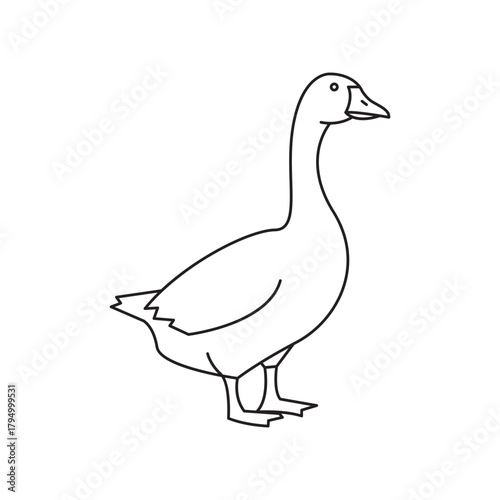 Graceful goose illustration wildlife art elegant waterfowl nature drawing outline animal sketch minimalism avian aquatic