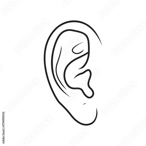 Ear Line Art Anatomical Illustration Medical Drawing Hearing Organ Human Body Healthcare Illustration White Background