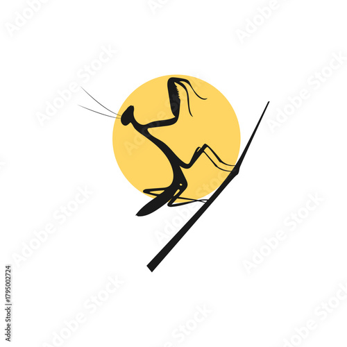 a praying mantis Insect animal vector art illustration isolated on white