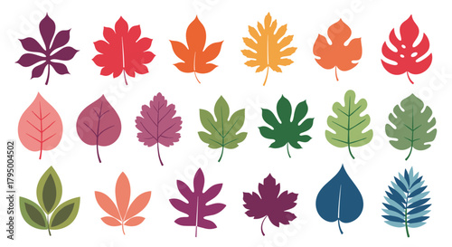 A vibrant collection of diverse stylized leaves in various shapes and colors, representing both autumnal and green botanical elements.