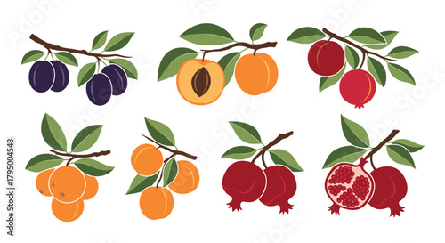 A vibrant collection of fresh fruits on branches, including plums, apricots, oranges, and pomegranates, illustrating healthy eating and natural produce.