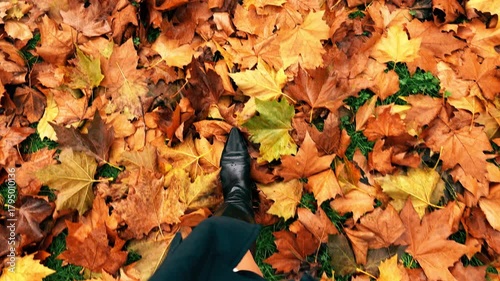 Point of view of a female person walking through colorful fallen autumn leaves on green grass, warm seasonal scene with orange and yellow tones