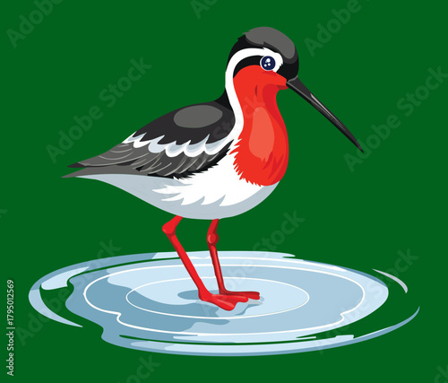 Vibrant Red-necked Phalarope Shorebird Standing Alone on a Melting Ice Floe in the Arctic Wilderness Illustration
