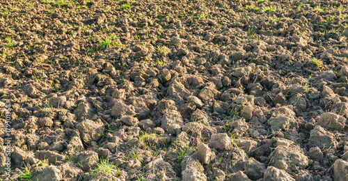 Close-up of a recently plowed field. Fresh green blades of grass are visible here and there. The photo was taken on a sunny day in the autumn season.
