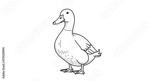 A black and white illustration of a realistic looking duck standing straight, facing to the left with a simple dot shading style.