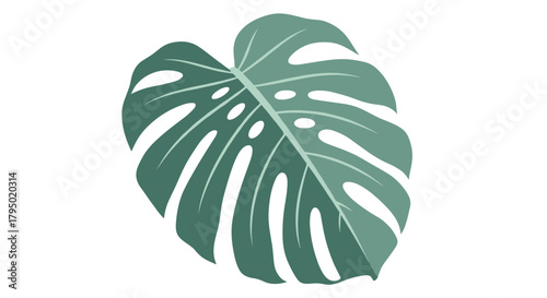 A single, stylized monstera leaf with holes and veins in muted green hues against a white background.