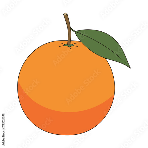 Orange Fruit Vector Illustration with Leaf