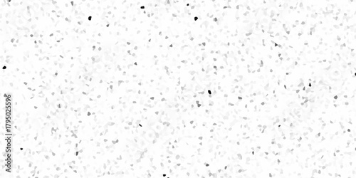 Fine grain terrazzo pattern with small abstract speckles. micro fragments creating an airy light effect across a white backdrop. polished terrazzo surface with faint gray and black specks.	