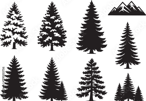 Christmas Evergreen Tree Silhouettes – Pine, Fir & Spruce Forest Panorama Vector Set