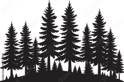 A dense silhouette of evergreen trees creates a natural forest landscape seamlessly	
