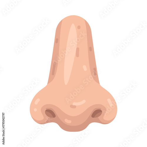 Illustration of Human Nose Organ